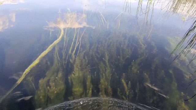 Вот это УЛОВ! Рыбалка на верши!