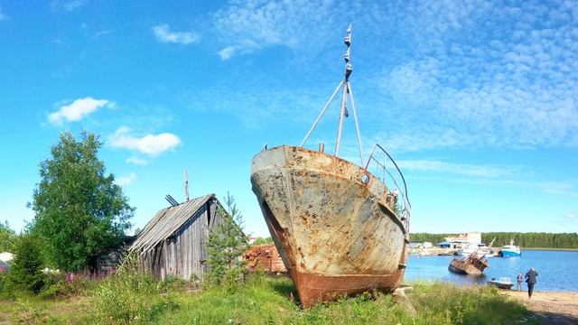Белое море Треска 2020 смотреть онлайн