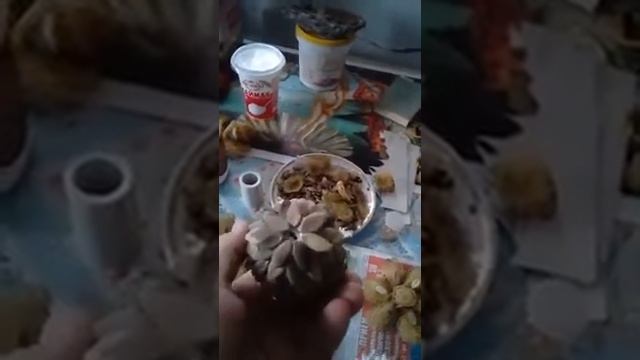 Артишок из яичной скорлупы и семян. смотреть онлайн