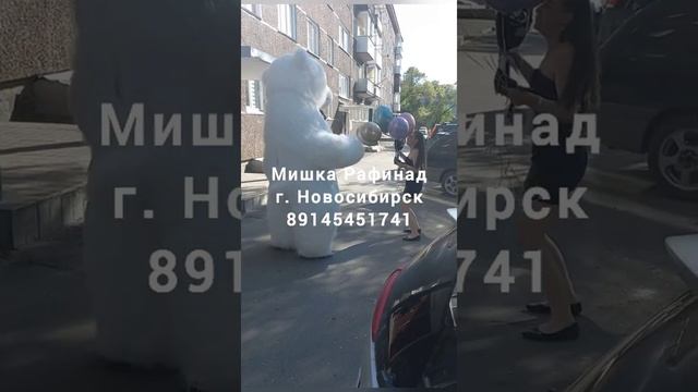 Белый Мишка Рафинад г. Новосибирск. смотреть онлайн