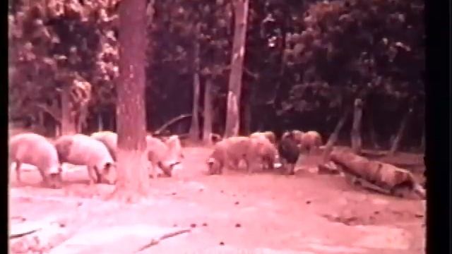 Welcome to Spivey's Corner. First minute preview. Complete film is on Folkstreams.net смотреть онлайн