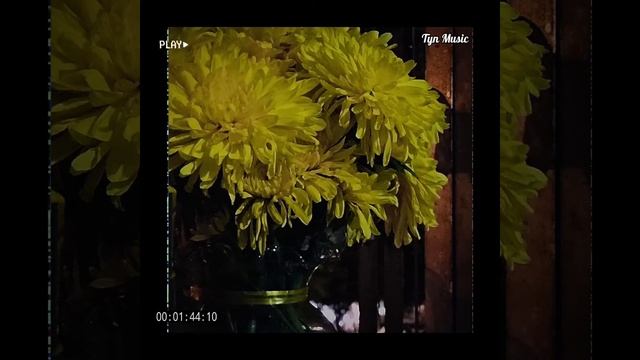 [lyrics + vietsub] Pure Imagination - Kathleen (slowed + reverb) смотреть онлайн