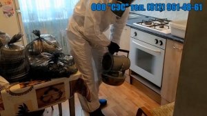 Холодный туман от тараканов