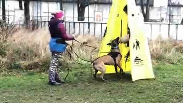 Каспер защита 17 мес смотреть онлайн