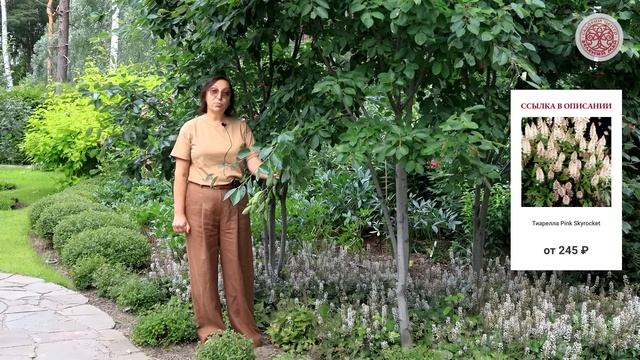 Лучшие идеи для посадки в приствольные круги смотреть онлайн