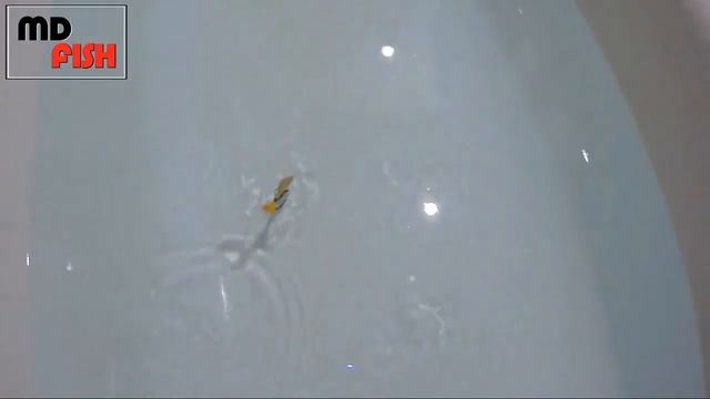 Бокоплав "Водорез". Ручная работа. смотреть онлайн