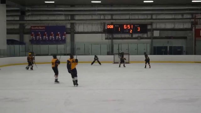 DELTA ICE HAWKS TOURNAMENT GAME VS KNIGHTS JUNE 5 2022 смотреть онлайн