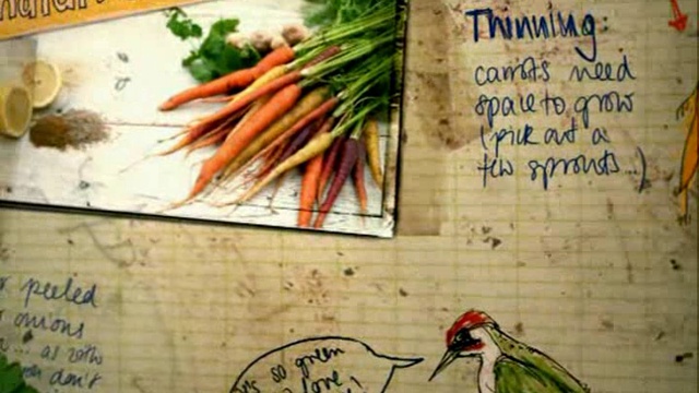 06x1_Jamie_Oliver_Morkov_i_svekla