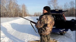 Пристрелка Stoeger 2000