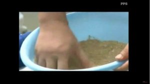 6 Ловля белого амура