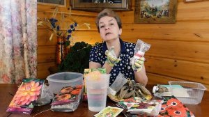 РЕАНИМАЦИЯ КЛУБНЕЙ ГЕОРГИНЫ | Проращивание георгин для раннего цветения