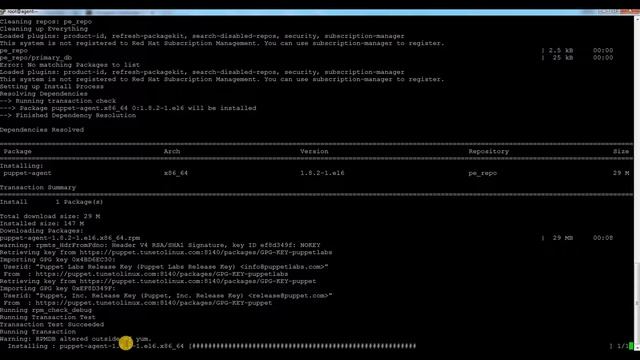 Puppet Enterprise 5.1- Puppet Agent Installation and Add Node Into Mater-Redhat |CentOS |OEL Linux смотреть онлайн