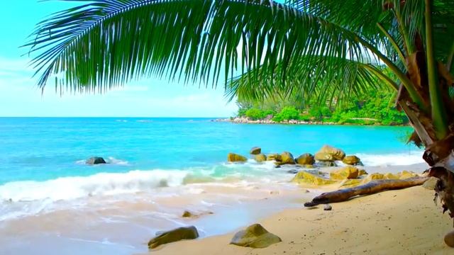Sounds of the sea- Звуки моря смотреть онлайн