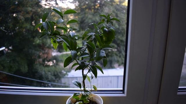 Строительный Компас