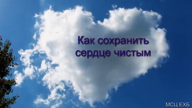 "Как сохранить сердце чистым". И. П. Плетт. МСЦ ЕХБ. смотреть онлайн