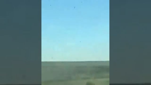 В ВКО «тучами» летает саранча смотреть онлайн