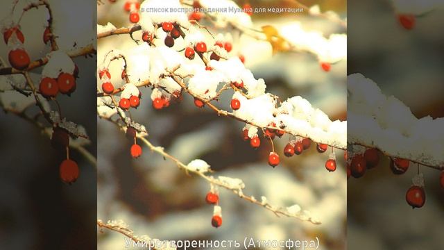 Звуки (Спокойствие) смотреть онлайн