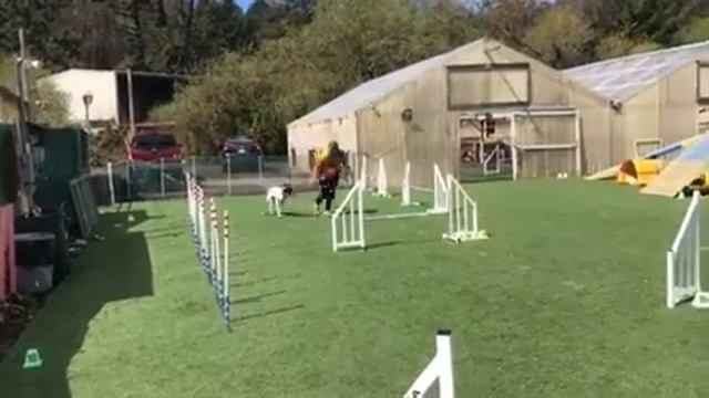 Gucci at Jump n’ Java - round 3 смотреть онлайн