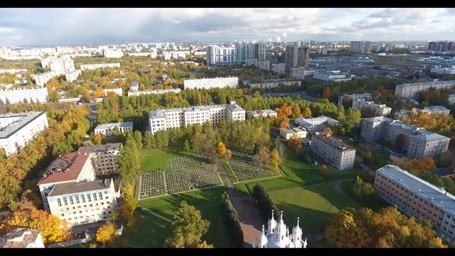 Шугаринг: инновационная техника удаления волос