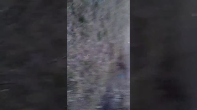 Нашли мелких школьников в заброшку не пошли потому что темно было простите смотреть онлайн