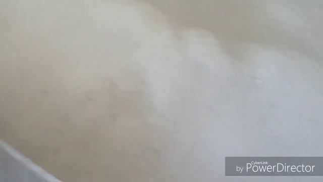 ЗаморозкА грибоВ !!! Mushroom frEezinG !!! ИЩУТ ВСЕ !!! смотреть онлайн