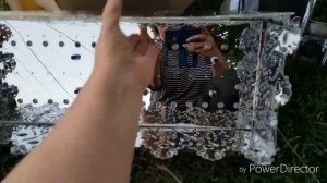 Нашла на свалке ! Поле чудес,а не Австралия.Антиквариат бесплатно .Шпермюль