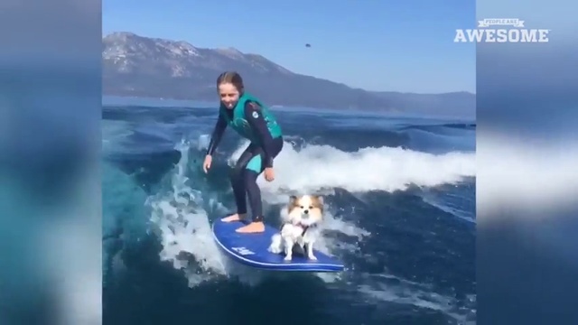 Подборка лучших трюков минувшей недели смотреть онлайн