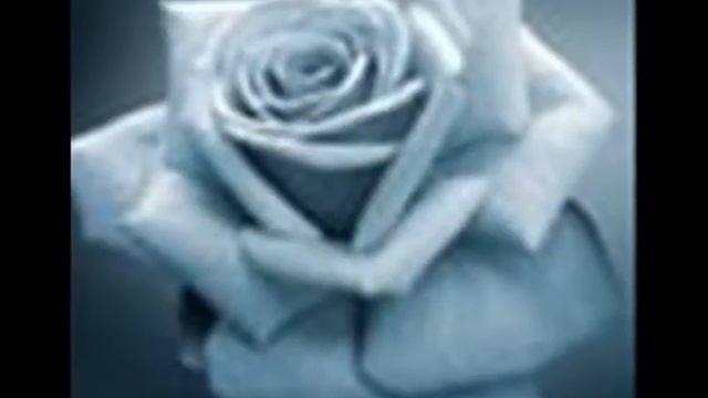 Всех женщин с праздником Весны.wmv смотреть онлайн