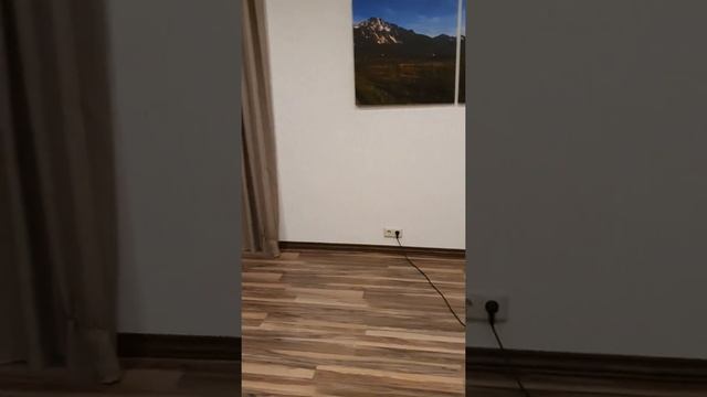 Почему в северной стороне квартиры лучше сделать светлый интерьер?