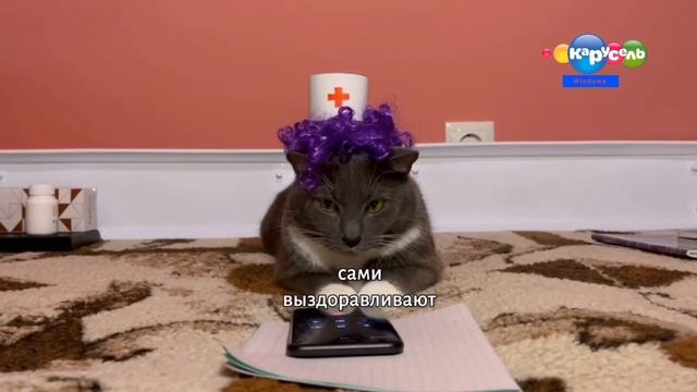 Kotiynet 7 выпуск Карусель Windows смотреть онлайн