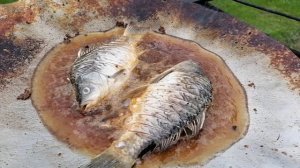 Жарим рыбу на садже. Мангал. Рыбалка 2024.