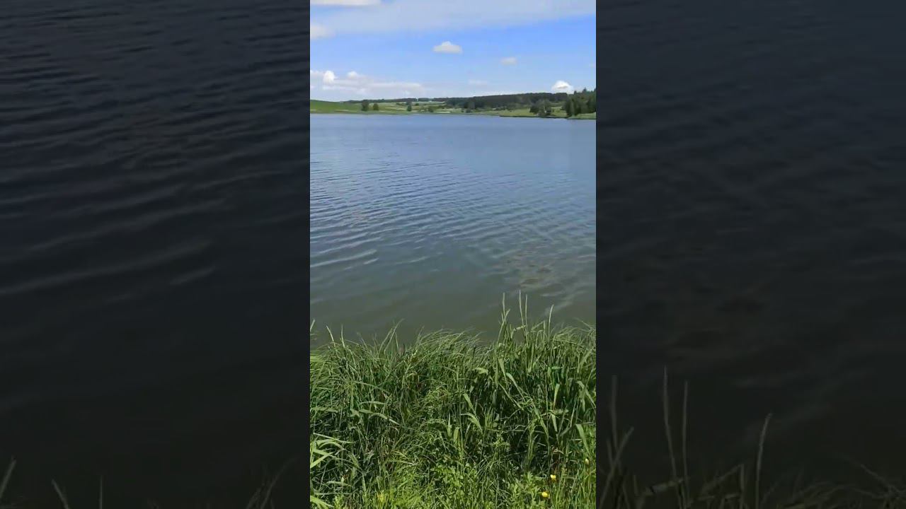 рыбалка #fishing #рыбалка смотреть онлайн