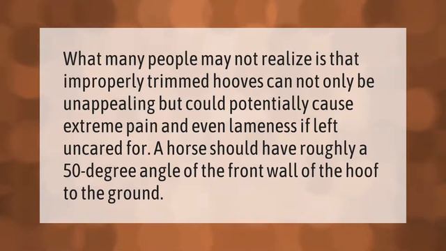 Why do wild horses not need their hooves trimmed? смотреть онлайн