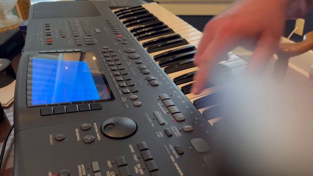 Technics KN3000 Sounds Like Wesley Willis