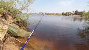 БОМБАРДА. КАК ЛОВИТЬ НА СБИРУЛИНО | Снасть для ловли чехони, красноперки, голавля