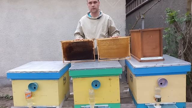 Мифы, глупости и правда. Теплые и холодные рамки. Обновление гнезда - залог здоровья! смотреть онлайн