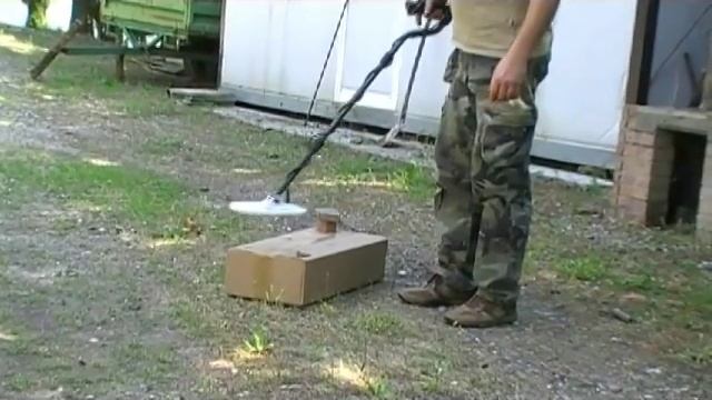 NOKTA FORS GOLD TEST DETECTION SERVICES.flv смотреть онлайн