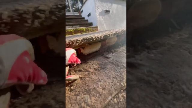 Рестоврация!ступеньки!плитка!гранит!трухля! смотреть онлайн