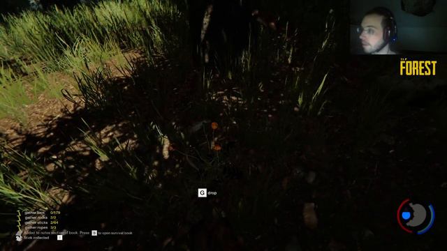 Rediff stream "The Forest" 2/3 (25/11/15) смотреть онлайн
