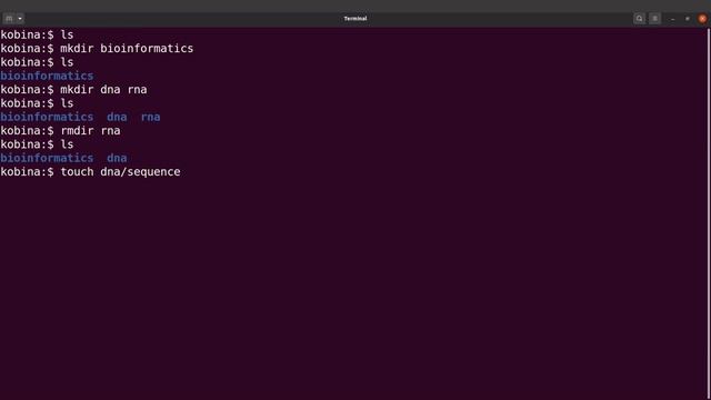 Linux bioinformatics tutorial | create and remove directories смотреть онлайн