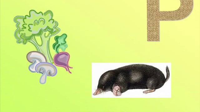 буква Р - музыкальный букварь Железновых.wmv смотреть онлайн
