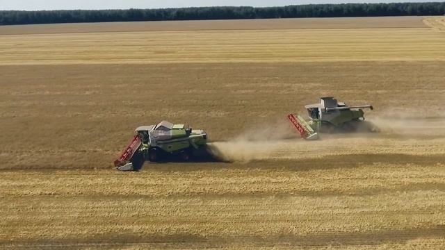 IV региональный фестиваль Праздник урожая «Спожинки» смотреть онлайн