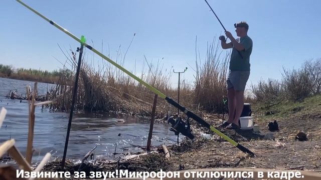 Карась приплыл на укроп!! Карась дуреет! Рыбалка на фидер в мае! смотреть онлайн