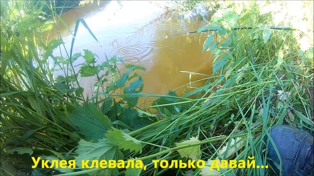 Запрет снят! Открываем сезон! смотреть онлайн