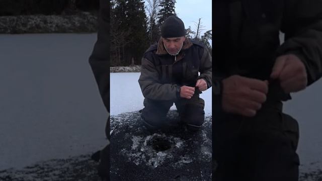 Первый лёд 2023-2024 Сезон начался. смотреть онлайн