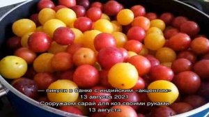 Польза алычи и вред: нужны ли эти плоды на вашем столе
