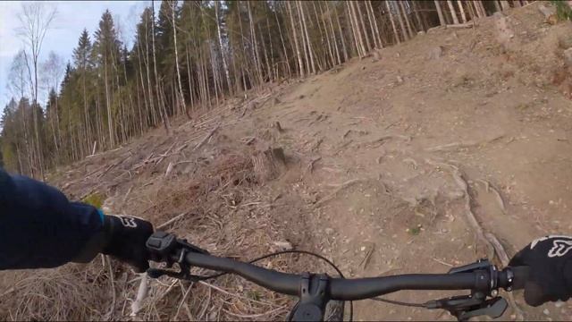 Giant Syncdrive Pro (2020) - EBike Motor Review