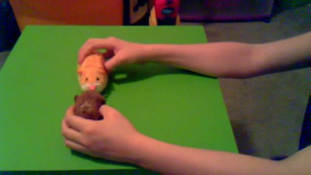 The Zhu Zhu Pets Play смотреть онлайн