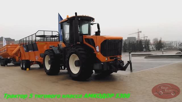 Белорусская замена Кировцу - опасаться или...