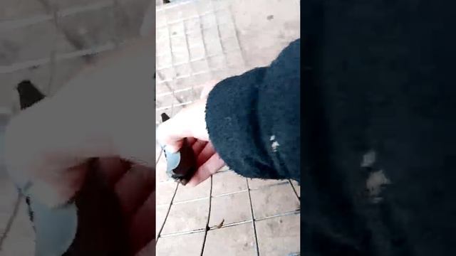 Как у знать что эта за метал и сколько этот метал стоит смотреть онлайн